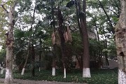 西南财经大学天府学院2016招生简章