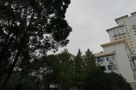 银川农林类大学有哪些？分数线多少？[专科]