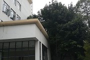 100所211大学排名，北大清华复旦排名前3