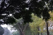 海南哪些高职好？