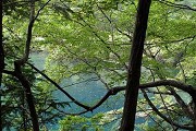 安徽农业类大学分数线多少？见安徽省内外的本专科农林类大学分数线详表
