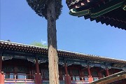 新疆交通职业技术学院2016在疆单招专科招生简章