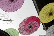 100所骨干高职大学排名，顺德职院江苏农牧排名前2