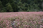 2017广州财专选择什么好？