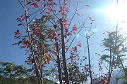 2020年4月山西自考推迟至8月