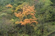 立陶宛物理与天文学专业选择什么大学好？