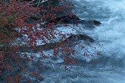浙江哪些高职好？