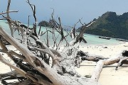 40所双一流大学排名，北大清华复旦排名前3