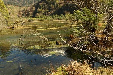 阜阳师范大学信息工程学院图片