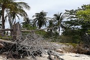 2020年湖北高考分数线多少？