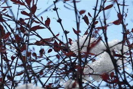 艺体生多少分能上南通师专？见2019艺体南通师专线