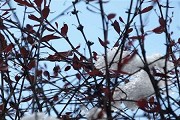 江苏师范类大学分数线多少？见江苏省内外的本专科师范类大学分数线详表