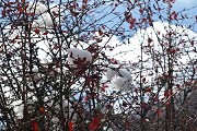 云南财经类大学分数线多少？见云南省内外的本专科财经类大学分数线详表