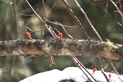 2017宁夏幼师分类招生专业学费多少