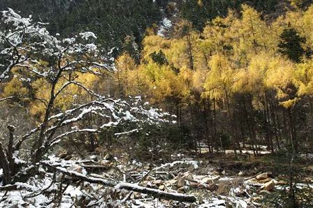 三峡旅游职业技术学院2015各省高考录取最低分数线