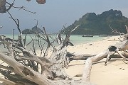 河北外语类大学分数线多少？见河北省内外的本专科外语类大学分数线详表