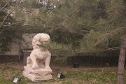 广西哪些大学分数较高？