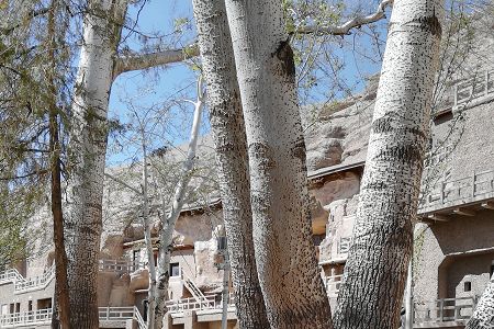 2017新疆二本分数线最高大学排名