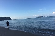 2017西藏职业学院各省理科分数线多少？