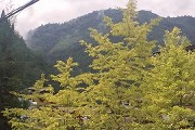 100所211大学排名，北大清华复旦排名前3